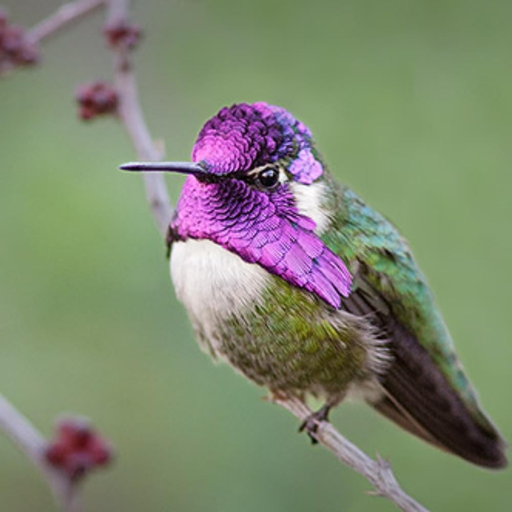 Meet your Posher, Yo Momma!